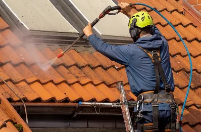 Démoussage et hydrofuge de toiture à Mayres-Savel